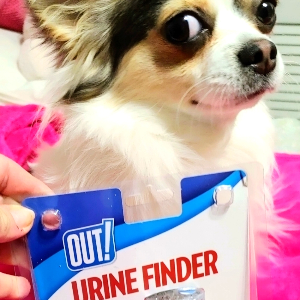COPY - NWT "OUT!" (Brand Name) URINE FINDER.